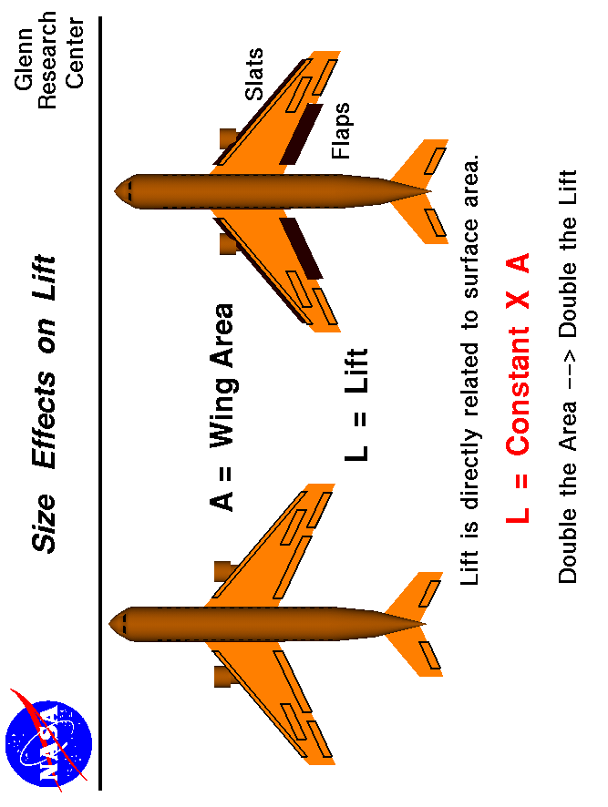 Computer drawing of two airliners with different wing areas.
 Lift is directly proportional to wing area.
 Use the Print command of your browser to produce a hard copy