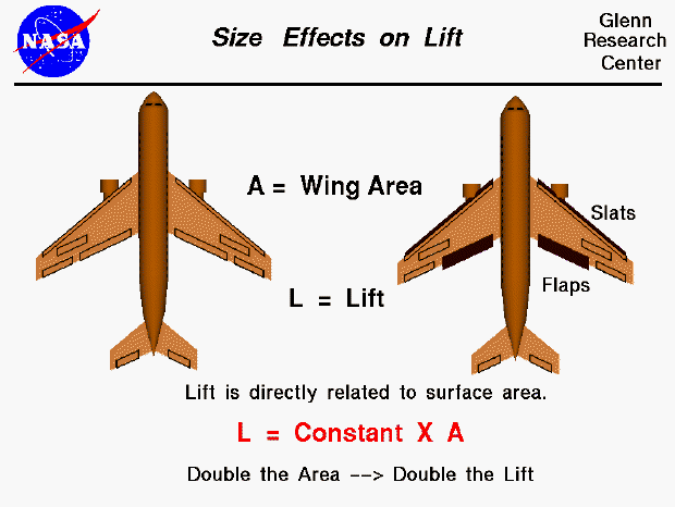 Computer drawing of two airliners with different wing areas.
 Lift is directly proportional to wing area.