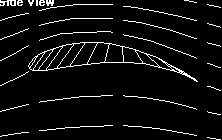 Side view of curved Lilienthal wing