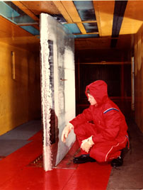 Iced wing section in tunnel