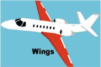 Airplane Wings