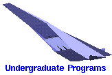Link to Undergrad Programs