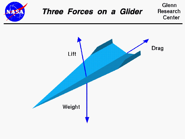 Computer drawing of a paper airplane showing vectors for lift, drag and weight.