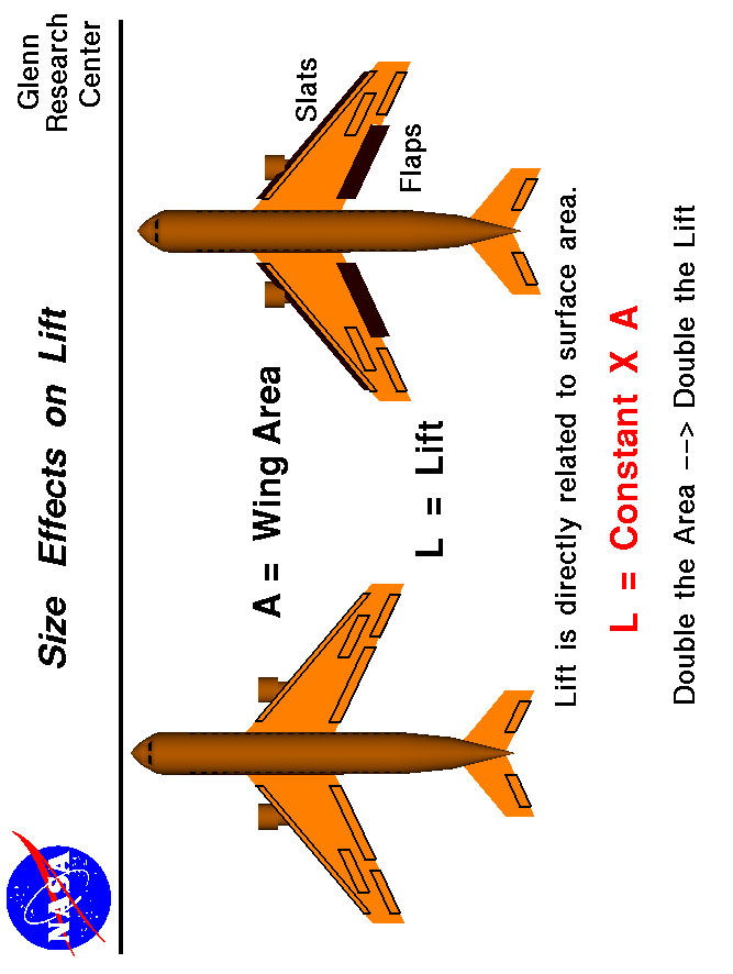 Computer drawing of two airliners with different wing areas.
 Lift is directly proportional to wing area.
 Use the Print command of your browser to produce a hard copy